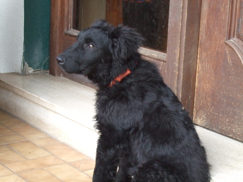 Ostern 2007 Orleshausen 092 